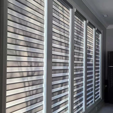 zebra blinds, protext privacy and light filtering