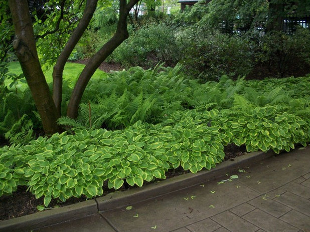 6 ventajas y 6 inconvenientes de plantar césped en el jardín