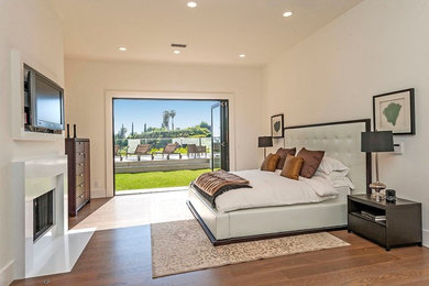 Bedroom - mid-sized transitional master medium tone wood floor bedroom idea in Los Angeles with white walls, a standard fireplace and a stone fireplace