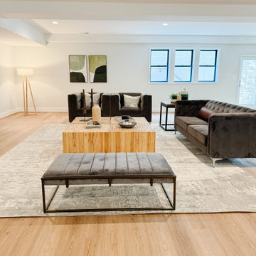 Patrick Street - Luxury New Build, Vienna VA