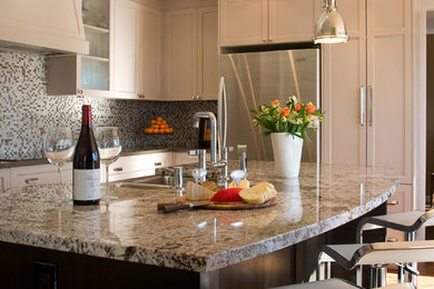 Example of a minimalist kitchen design in Calgary