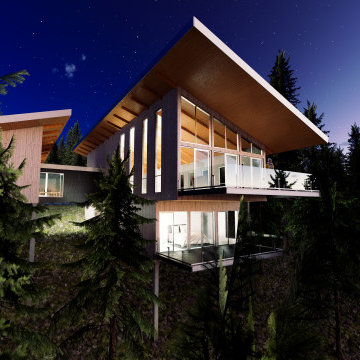 Schweitzer Telemark House