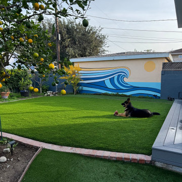 Santa Monica Pet Turf Installation