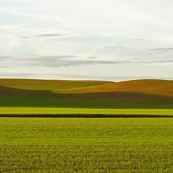 PALOUSE SPRING - Home Decor