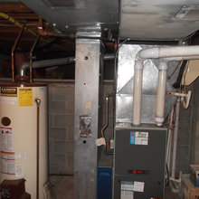 Carol's Basement