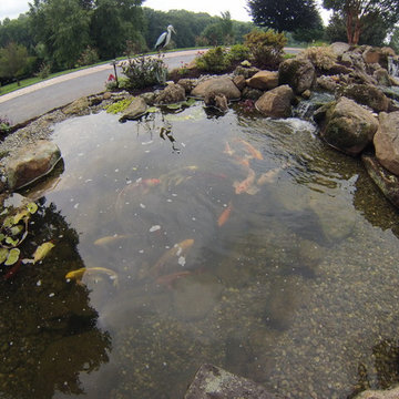 Large Scale Pond Project