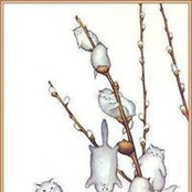 Carrie Poff's photo