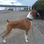 Jamey Turcic's photo