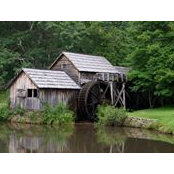 Nancy Howard's photo