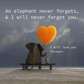 Stephanie McSherry's photo