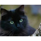 Michael Pope's photo