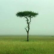 PengFeng Wu's photo