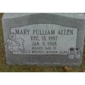 Michelle Allen's photo