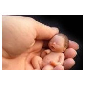 Annette Royer's photo
