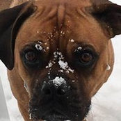 Joy Wood's photo