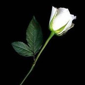 Raina Steiner's photo
