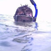 Michael Gnefkow's photo