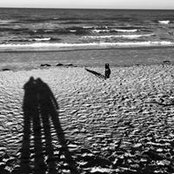 Frederic Lammertynさんの写真