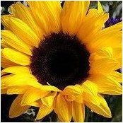 Shelby Gordon's photo