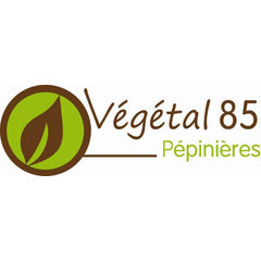VEGETAL 85