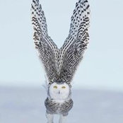 Martha Liliana's photo