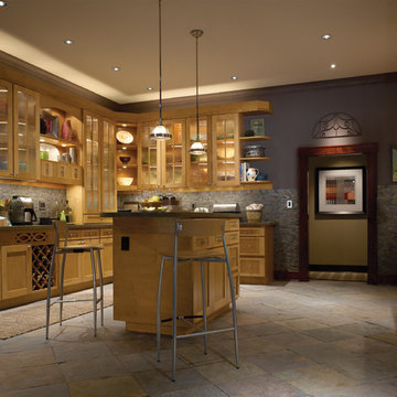 Lutron Lighting Controls