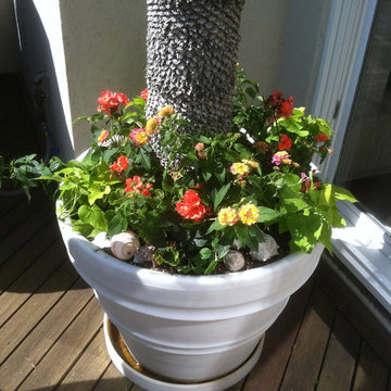 Container Gardens