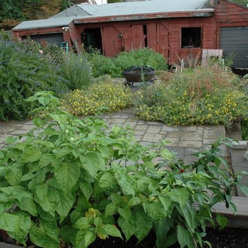 Italianate Style B Street Water Wise & Vegetable Garden