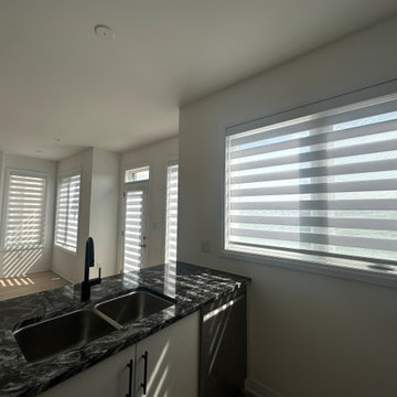 July 2025 Chrome White Zebra Blinds