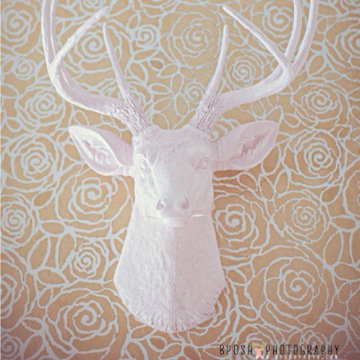 Faux Taxidermy