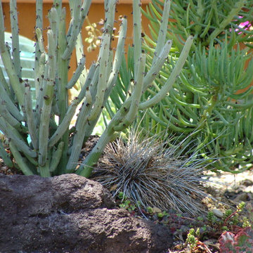 Costa Mesa 2011