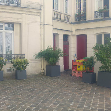 Cour Parisienne