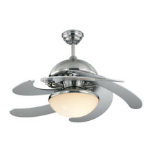 ceiling fans