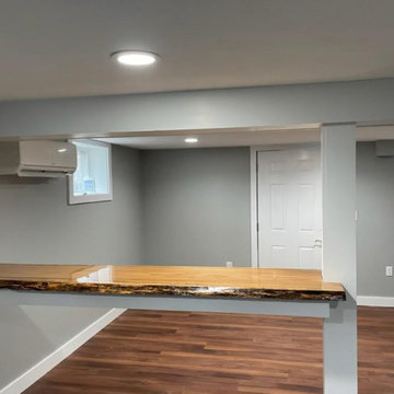 Basement Reno Project