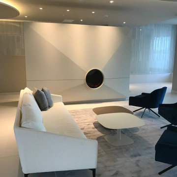 Commercial Project- Vestibule Reno