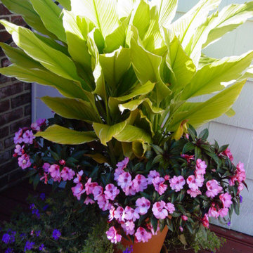 Container Plantings