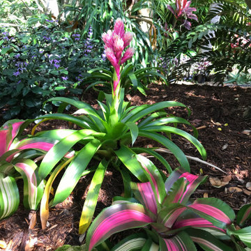 Woodland Park Charm