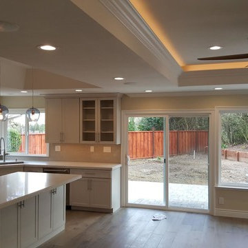 Open Concept Kitchen and Living Room Renovation