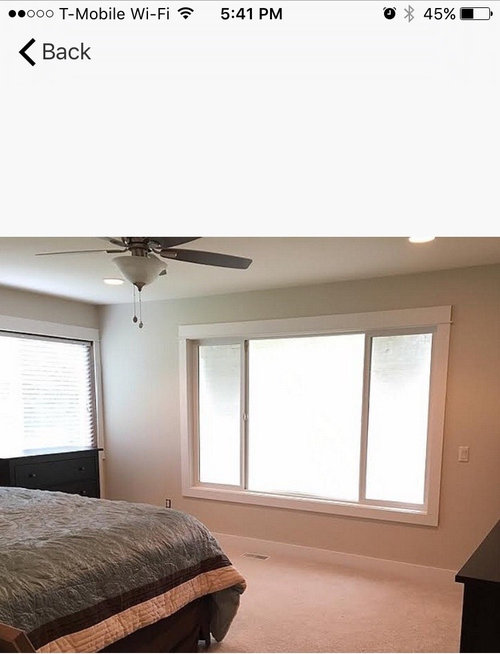 What color drapes? Match or contrast with wall?