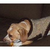 Laura Home's photo