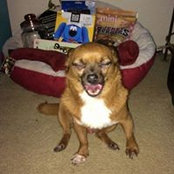 Misty Ramirez's photo