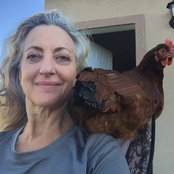 Diane Ingalls-Reid's photo