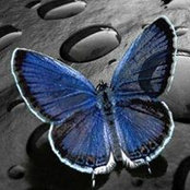 Tracey Beatch's photo