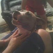 Jennifer Buck-Aikman's photo