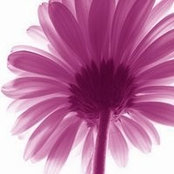 Marie Moabit's photo