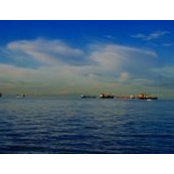 Ryan Talbot's photo
