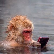 G Lucidon's photo