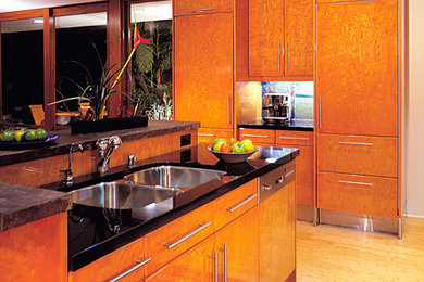 Example of a minimalist kitchen design in San Diego
