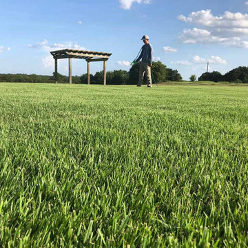 Does pulling weeds work best in Texas?