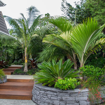 Tropical Delight